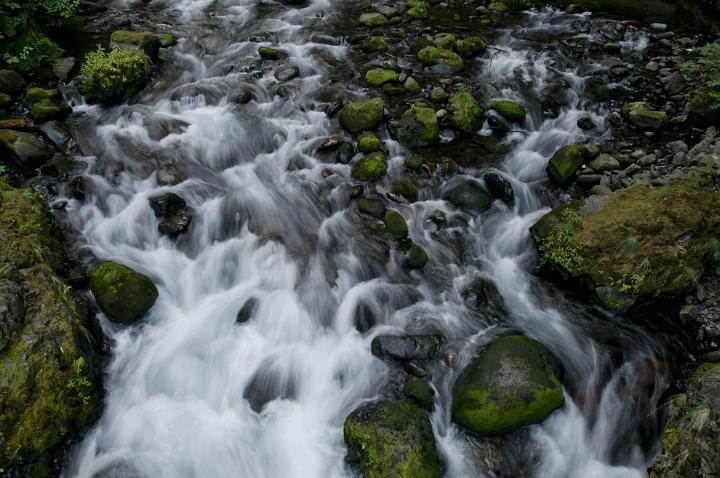 Tanner Creek 6118.jpg